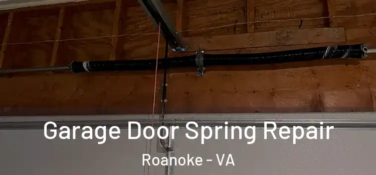  Garage Door Spring Repair Roanoke - VA