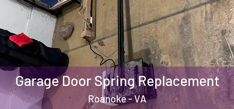  Garage Door Spring Replacement Roanoke - VA