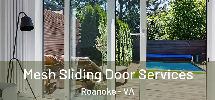  Mesh Sliding Door Services Roanoke - VA