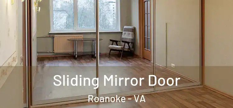  Sliding Mirror Door Roanoke - VA